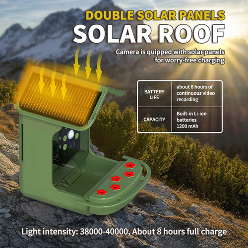 Solar Powered Bird Feeder - Bring Life to Your Yard and Home!